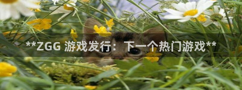 新航娱乐的创始人是谁