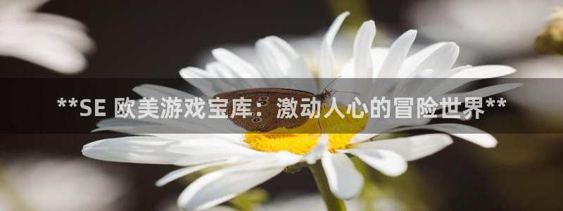 新航娱乐app官方免费下载苹果