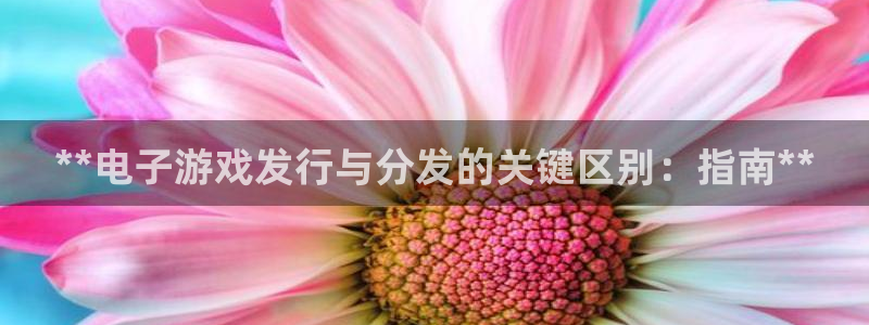 新航娱乐公司简介和历史背景分析