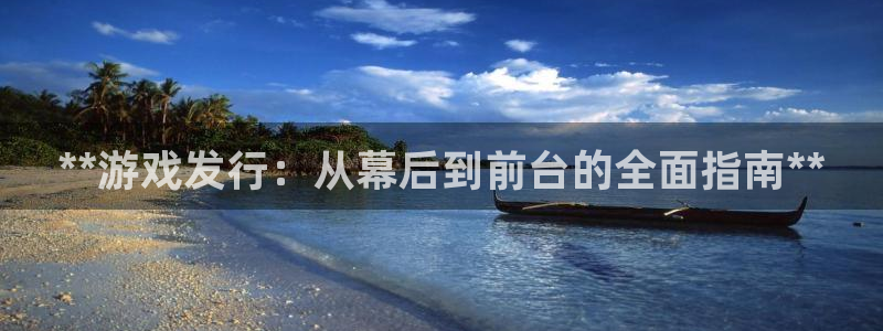 新航娱乐公司扣费流程详解图片：**游戏发行：从幕后到前台的全面指南**