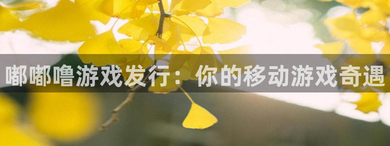 新航娱乐官网下载安装：嘟嘟噜游戏发行：你的移动游戏奇遇