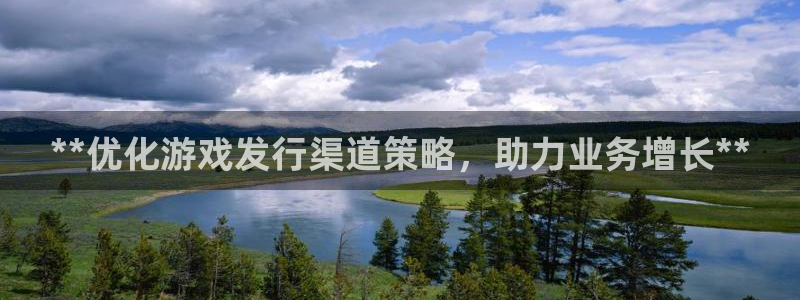 新航娱乐的股东名单和背景介绍：**优化游戏发行渠道策略，助力业务增长**
