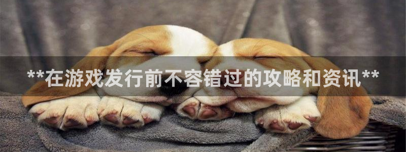 新航娱乐app的最新版本更新内容是什么：**在游戏发行前不容错过的攻略和资讯**