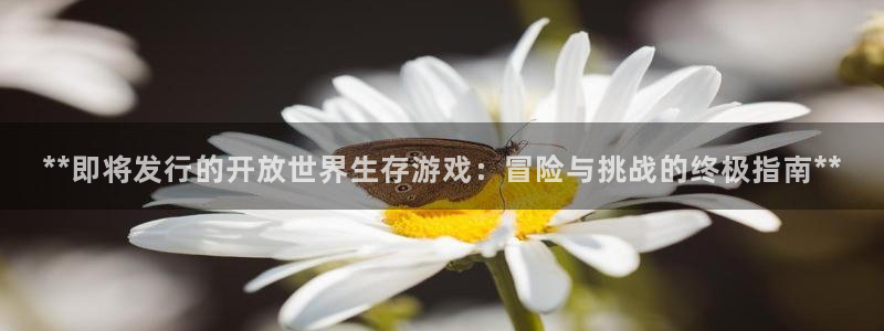 新航娱乐背后的老板：**即将发行的开放世界生存游戏：冒险与挑战的终极指南**