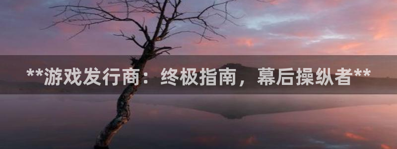 新航娱乐公司扣费流程详解图表：**游戏发行商：终极指南，幕后操纵者**