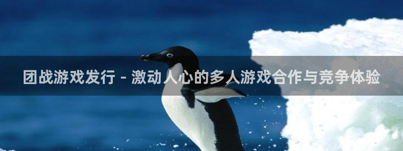 新航娱乐的创始人背景是谁：团战游戏发行 - 激动人心的多人游戏合作与竞争体验
