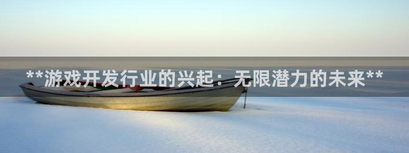 新航娱乐背后的老板叫什么：**游戏开发行业的兴起：无限潜力的未来**