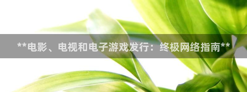 新航娱乐公司扣费流程详解图：**电影、电视和电子游戏发行：终极网络指南**