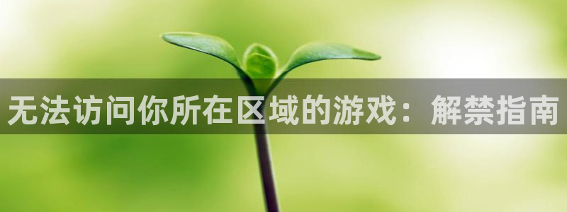 新航娱乐扣款后还能重新扣吗现在：无法访问你所在区域的游戏：解禁指南