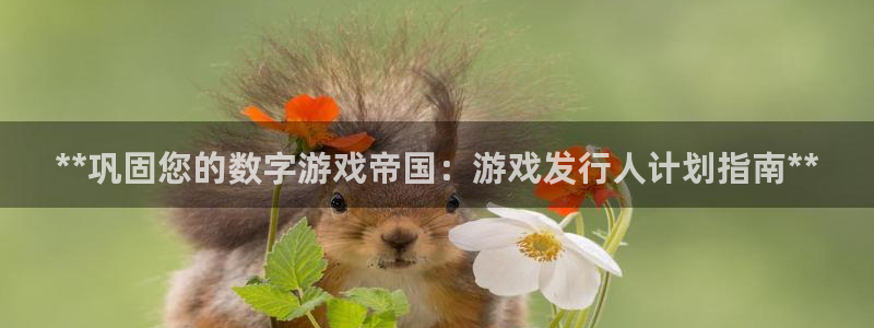新航娱乐注册平台：**巩固您的数字游戏帝国：游戏发行人计划指南**
