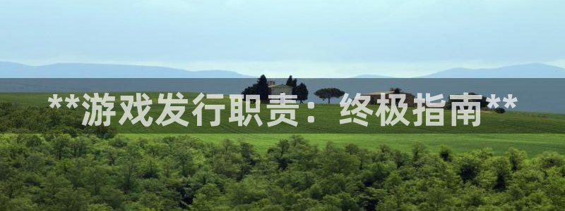 新航娱乐平台app下载：**游戏发行职责：终极指南**