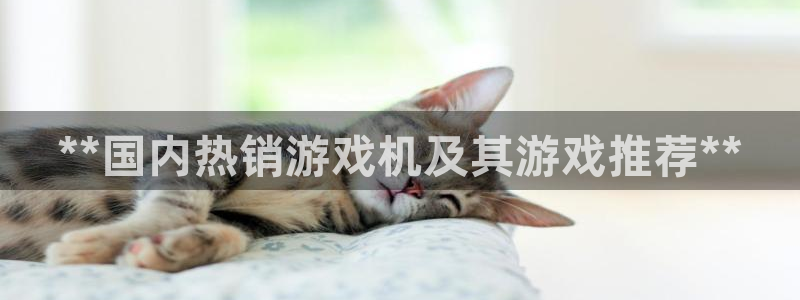 新航娱乐app最新版本更新内容在哪找：**国内热销游戏机及其游戏推荐**
