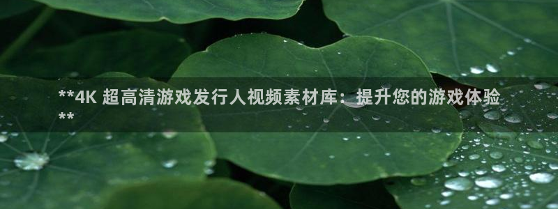 新航娱乐探索无限撼底空间：**4K 超高清游戏发行人视频素材库：提升您的游戏体验
**