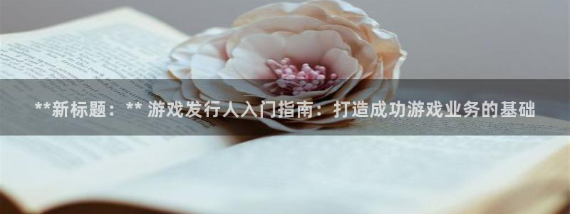新航娱乐的会员权益与保障：**新标题：** 游戏发行人入门指南：打造成功游戏业务的基础