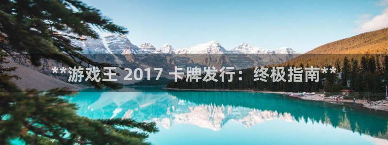 新航娱乐公司扣费流程详解表最新：**游戏王 2017 卡牌发行：终极指南**