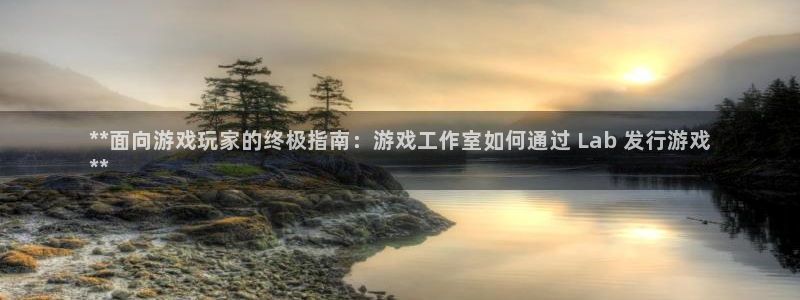 新航娱乐倒闭了吗知乎全文：**面向游戏玩家的终极指南：游戏工作室如何通过 Lab 发行游戏
**