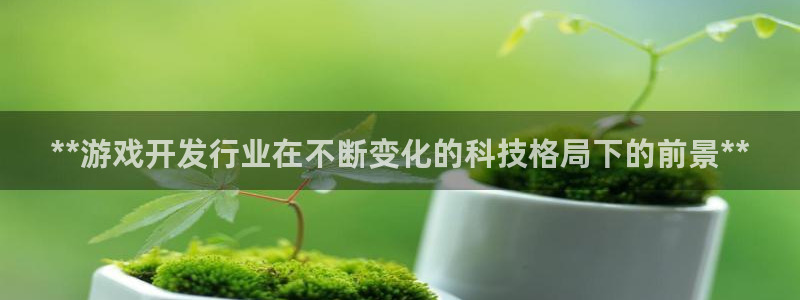 新航娱乐公司简介和历史背景：**游戏开发行业在不断变化的科技格局下的前景**