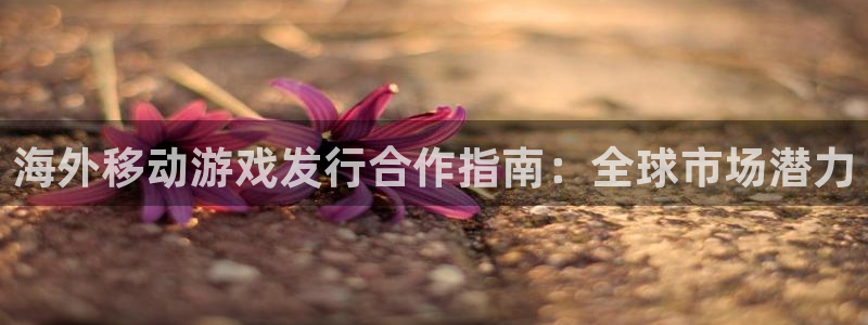 新航娱乐扣款后还能重新扣嘛怎么办：海外移动游戏发行合作指南：全球市场潜力