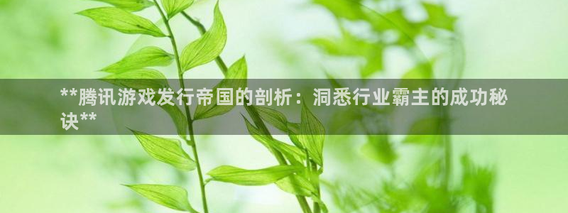 新航娱乐招商碰回复 485624 多少钱：**腾讯游戏发行帝国的剖析：洞悉行业霸主的成功秘
诀**