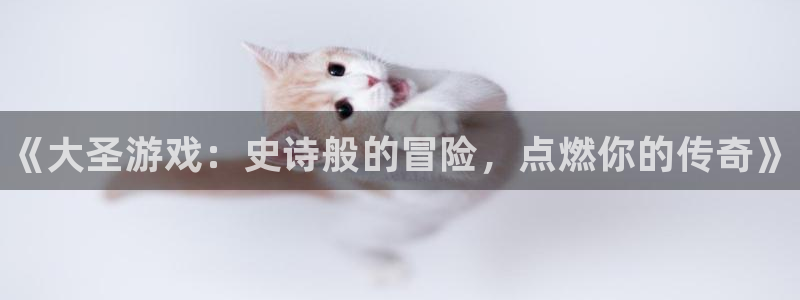 新航娱乐官网最新版本更新内容下载：《大圣游戏：史诗般的冒险，点燃你的传奇》