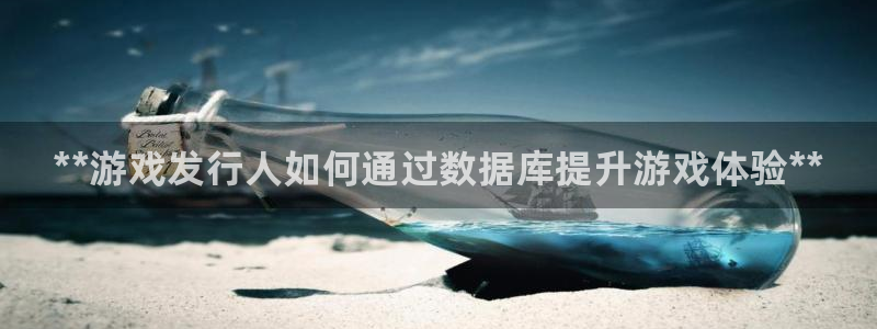 新航娱乐公司扣费流程详解：**游戏发行人如何通过数据库提升游戏体验**
