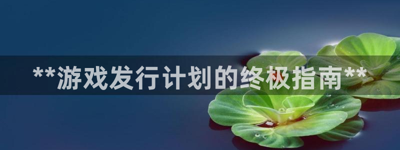 新航娱乐注册平台：**游戏发行计划的终极指南**