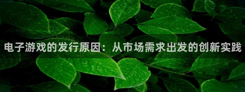 新航娱乐扣款后还能重新扣嘛：电子游戏的发行原因：从市场需求出发的创新实践