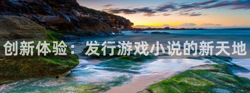 新航娱乐旗下艺人名单：创新体验：发行游戏小说的新天地