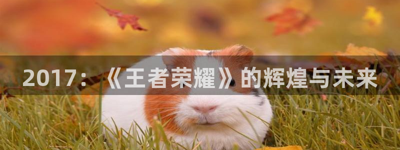 新航娱乐app最新版本更新内容是什么：2017：《王者荣耀》的辉煌与未来