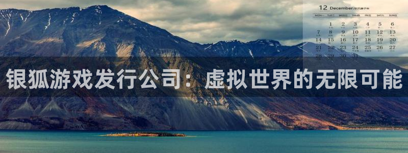 新航娱乐公司扣费流程详解表：银狐游戏发行公司：虚拟世界的无限可能