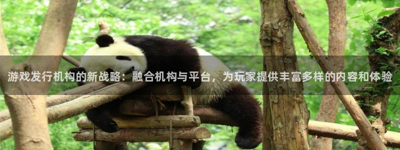 新航娱乐app官方免费下载安装：游戏发行机构的新战略：融合机构与平台，为玩家提供丰富多样的内容和体验