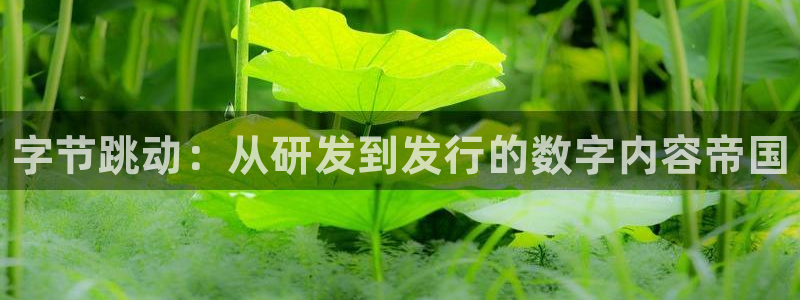 新航娱乐公司扣费流程详解表最新：字节跳动：从研发到发行的数字内容帝国