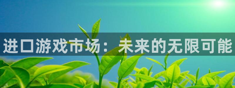 新航娱乐公司扣费流程详解图片：进口游戏市场：未来的无限可能