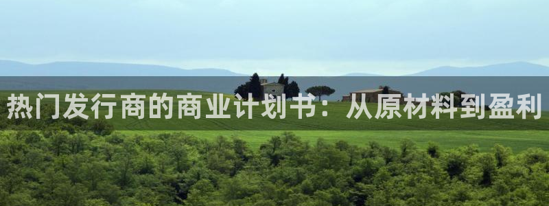 新航娱乐的创始人背景介绍：热门发行商的商业计划书：从原材料到盈利