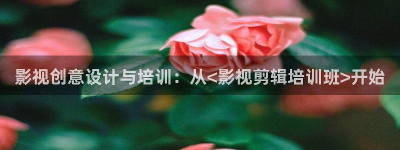 天狼影影院：影视创意设计与培训：从<影视剪辑培训班>开始