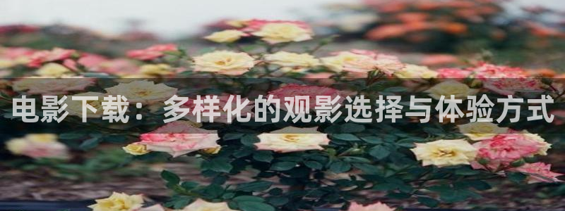 2023天狼影院：电影下载：多样化的观影选择与体验方式