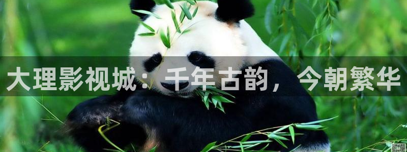 天狼影院天天影视：大理影视城：千年古韵，今朝繁华