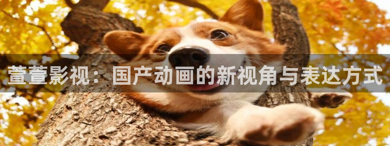 天狼影视成人：萱萱影视：国产动画的新视角与表达方式