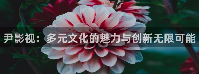 天狼电影2025免费观看完整版：尹影视：多元文化的魅力与创新无限可能