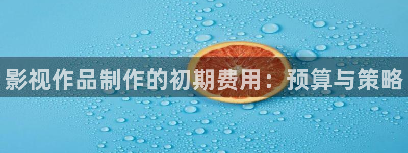 天狼免费在线观看：影视作品制作的初期费用：预算与策略