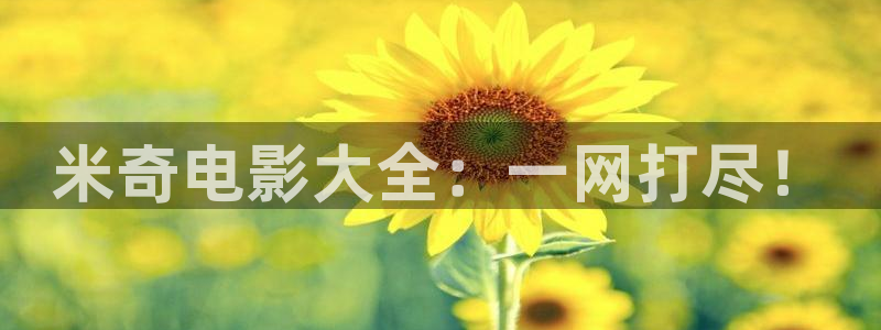 天狼影院伦理片：米奇电影大全：一网打尽！