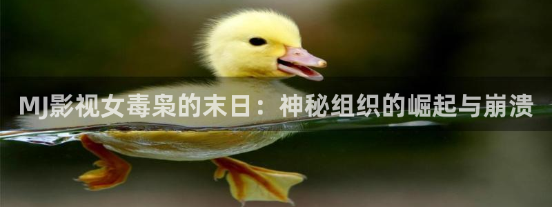 天狼影院 韩国：MJ影视女毒枭的末日：神秘组织的崛起与崩溃